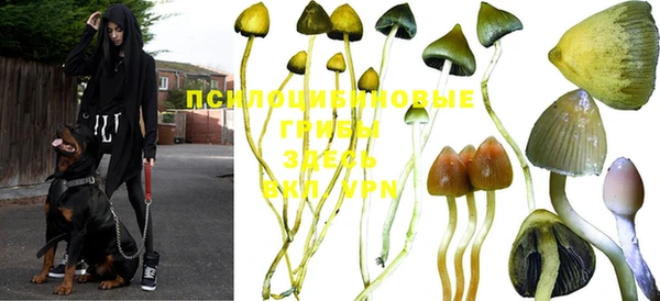 MDMA Premium VHQ Алзамай