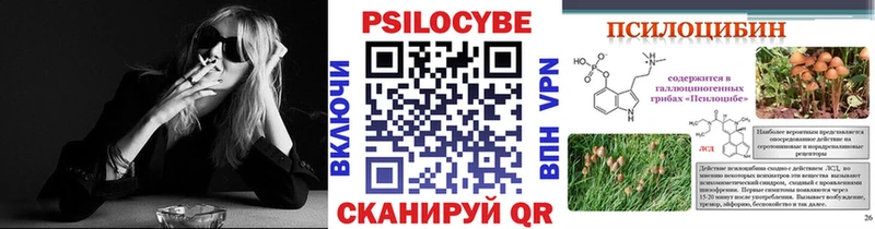 Псилоцибиновые грибы прущие грибы  Камбарка 
