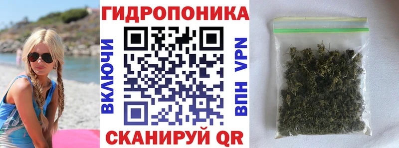Бошки Шишки AK-47  omg ссылка  Камбарка 